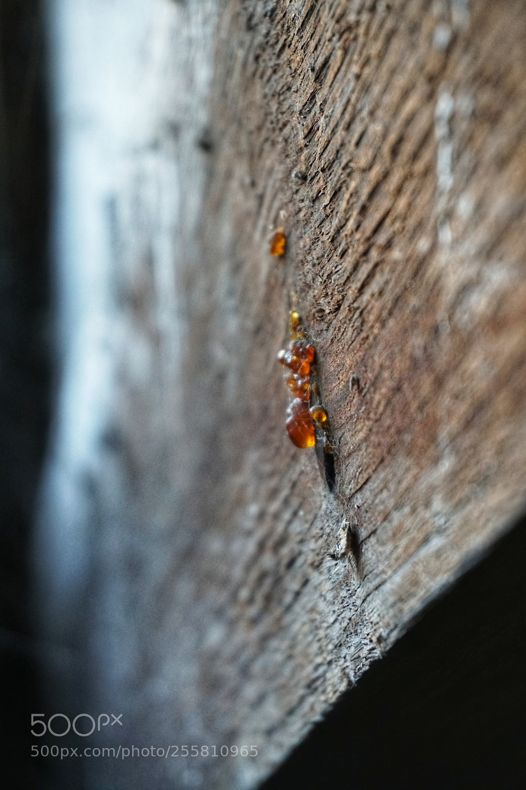 Sony a6300 sample photo. Resin photography