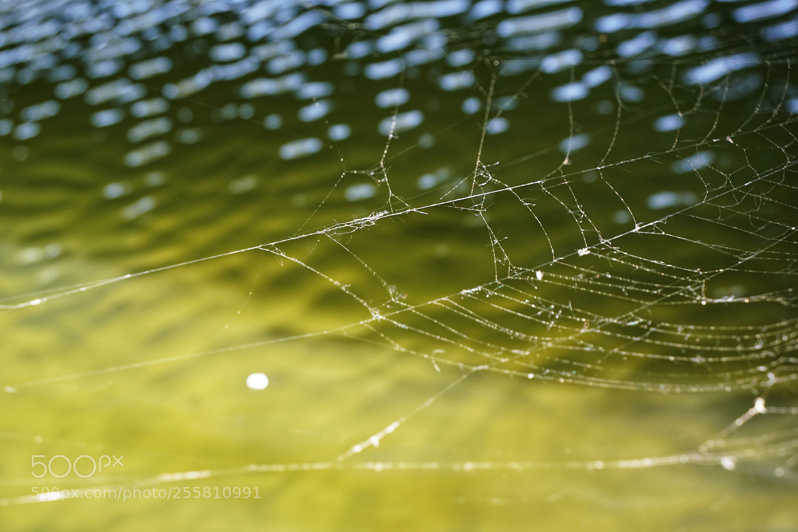 Sony a6300 sample photo. Web photography