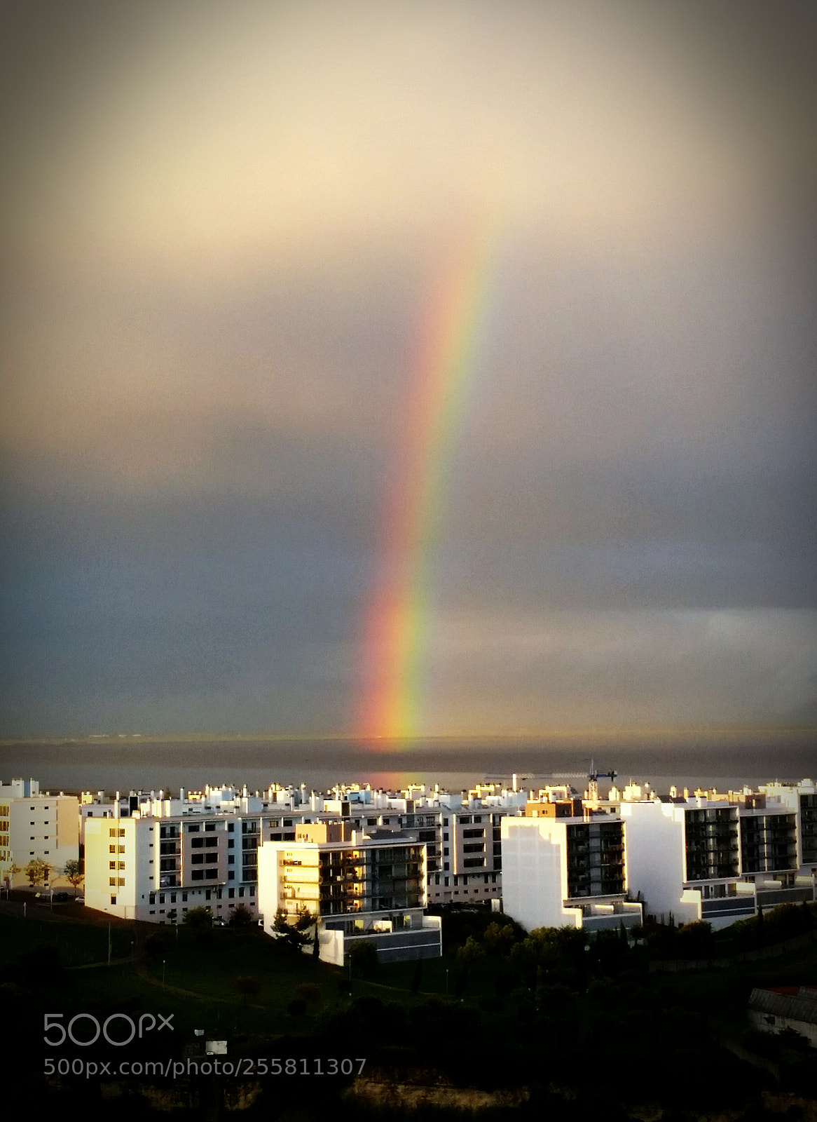 Samsung Galaxy S5 sample photo. Untitled photography