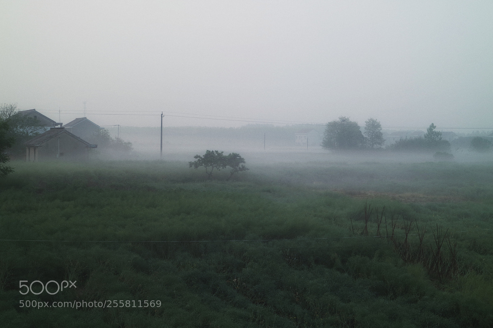 Canon EOS M3 sample photo. Early morning photography