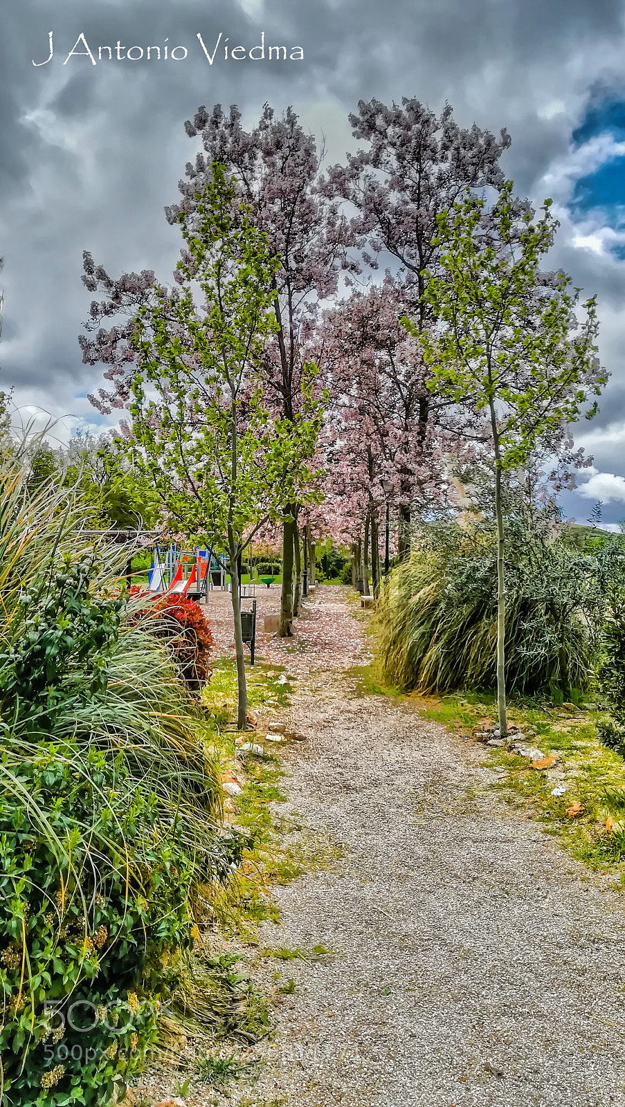 HUAWEI PRA-LX1 sample photo. Morata de taju a photography