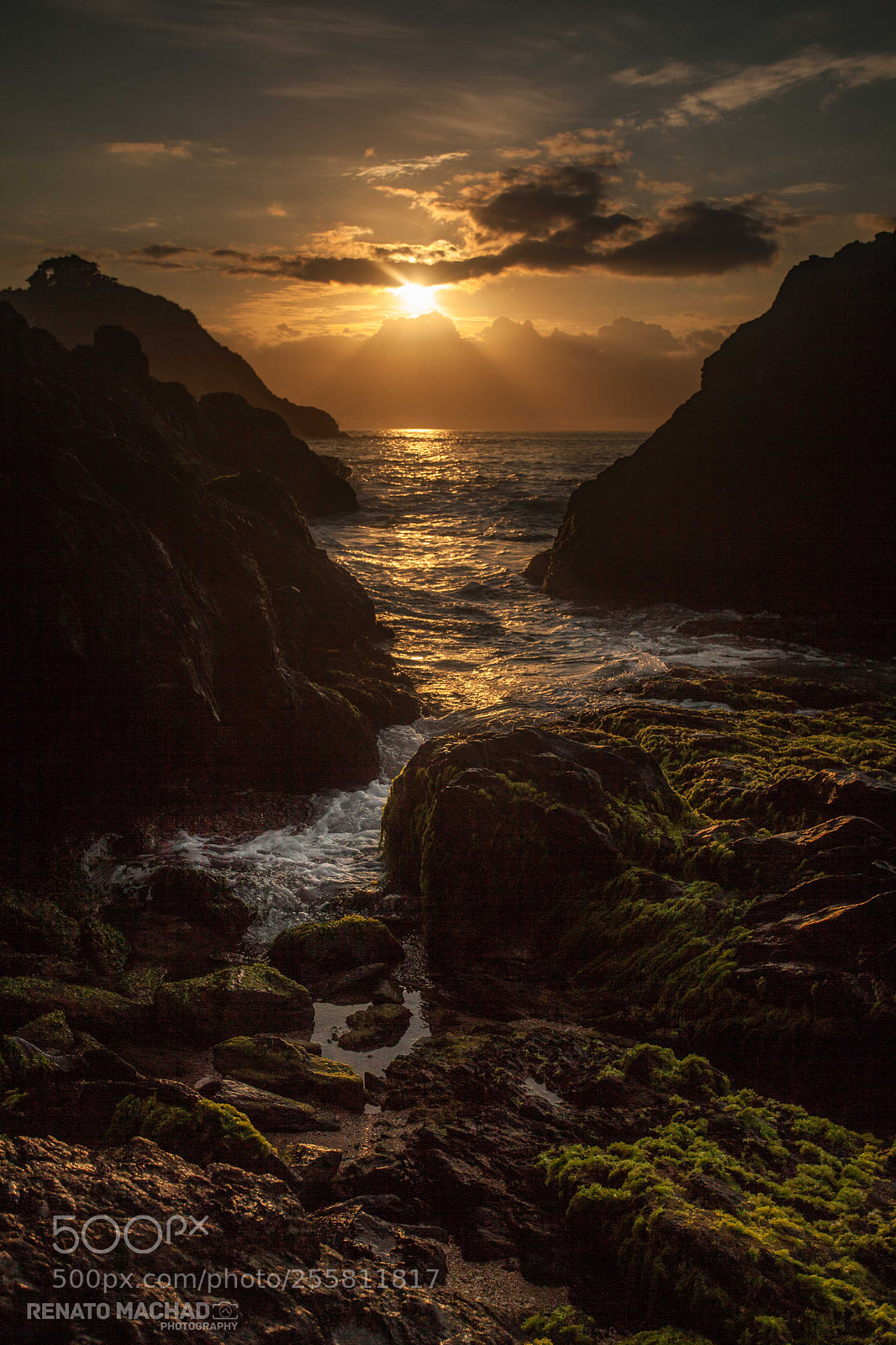 Canon EOS 5D Mark II sample photo. Gold morning photography