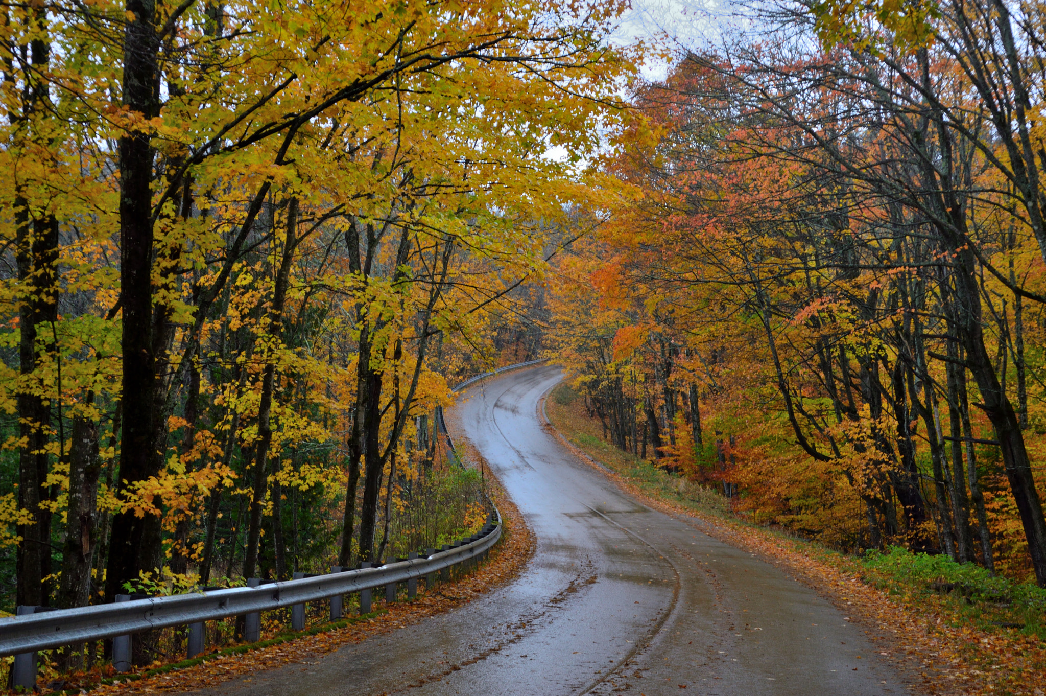 Nikon D3200 sample photo. Fall colors photography