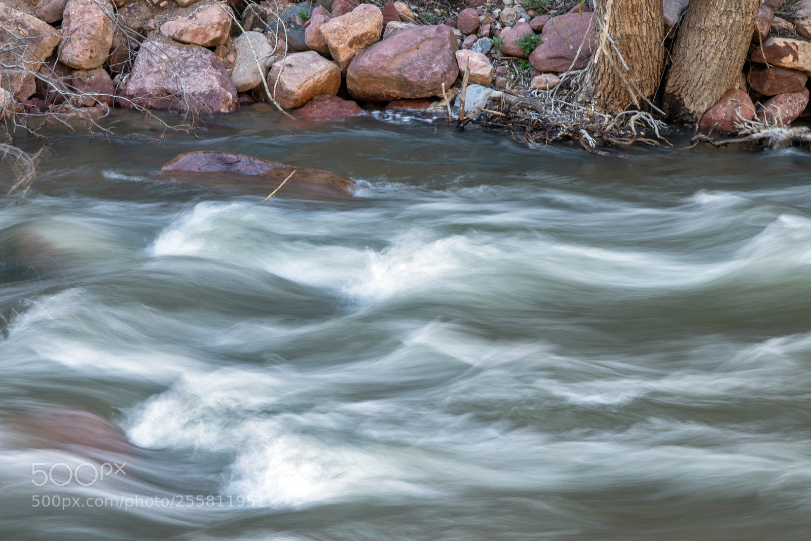Canon EOS 5D Mark IV sample photo. Movement photography