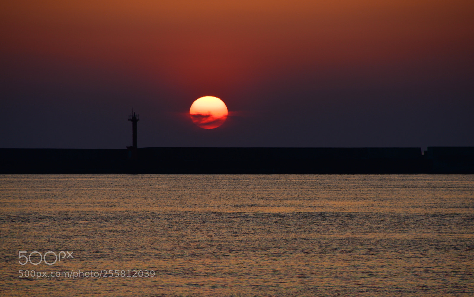 Nikon D610 sample photo. Calm photography
