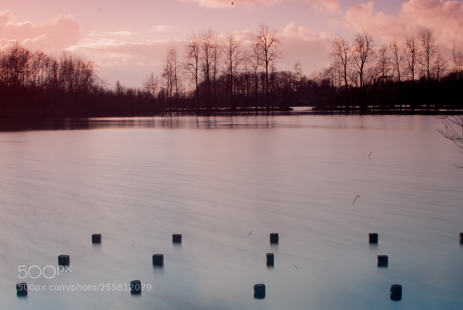 Nikon D200 sample photo. Calm sunset photography