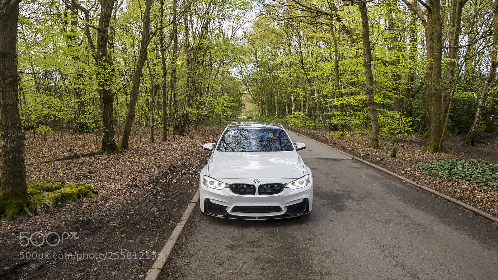 Panasonic Lumix DMC-G85 (Lumix DMC-G80) sample photo. M3 woods photography
