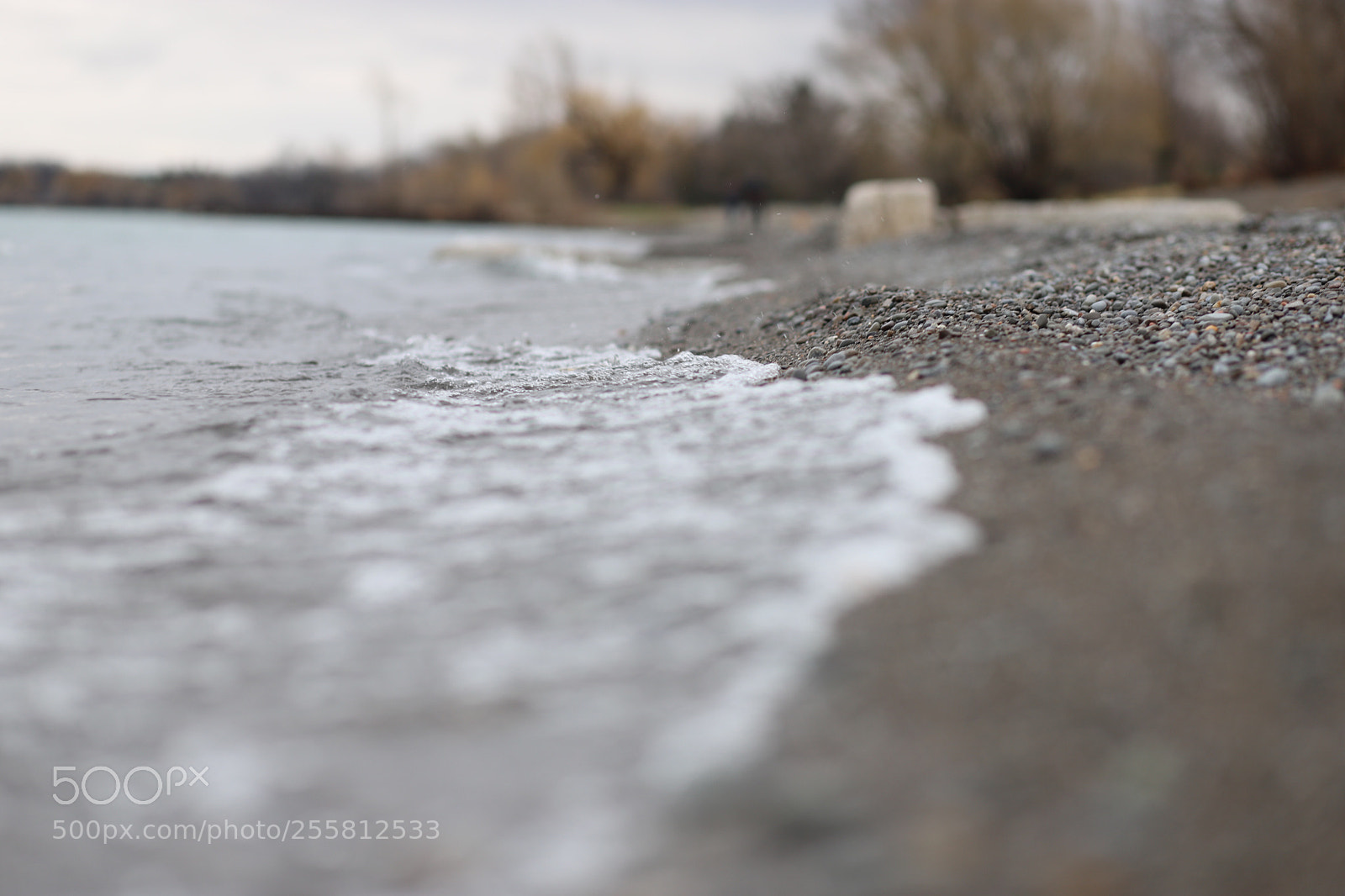 Canon EOS 6D Mark II sample photo. Untitled photography