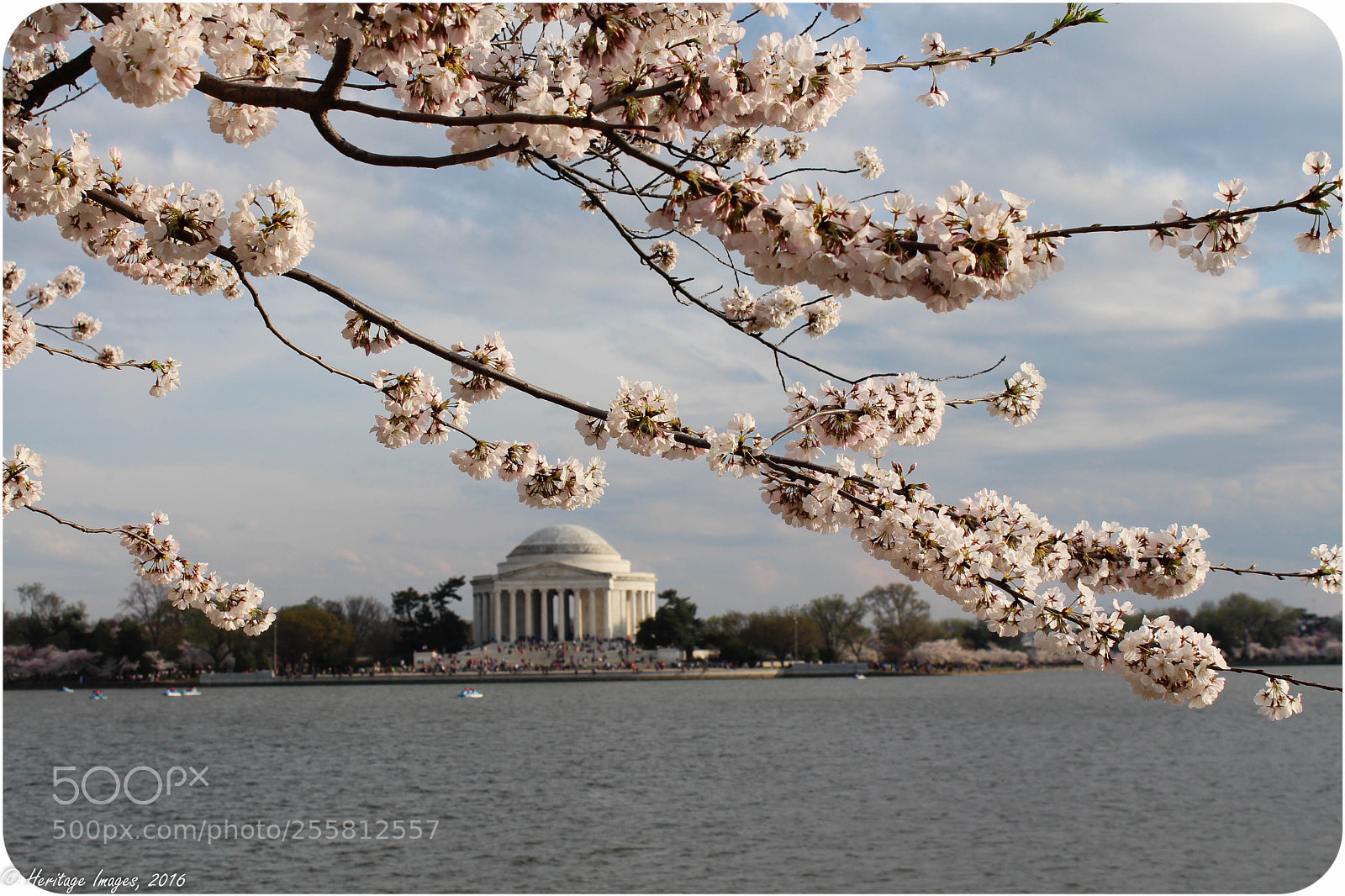 Canon EOS 650D (EOS Rebel T4i / EOS Kiss X6i) sample photo. Cherry blossoms over the photography