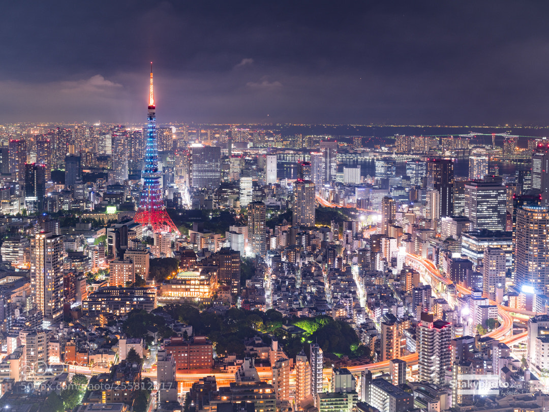 Sony a7R III sample photo. Red tower blue photography