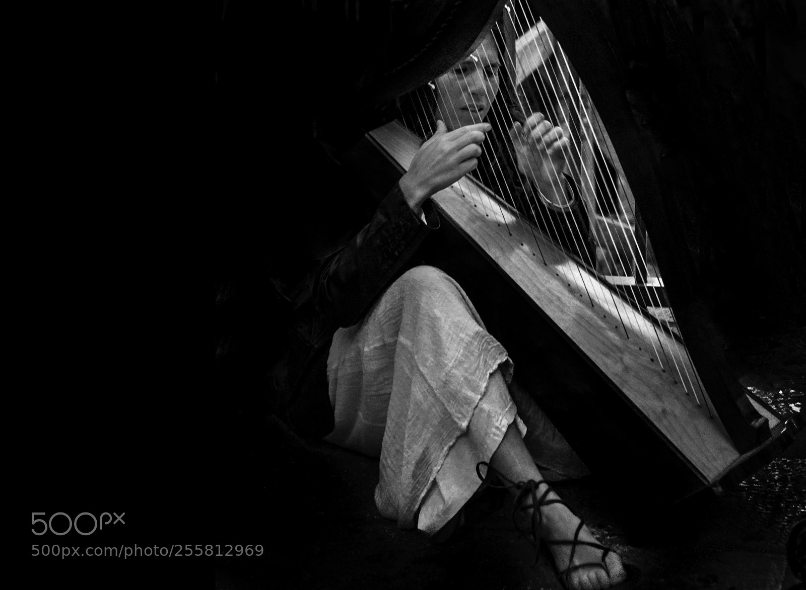 Nikon D90 sample photo. Harpist... photography