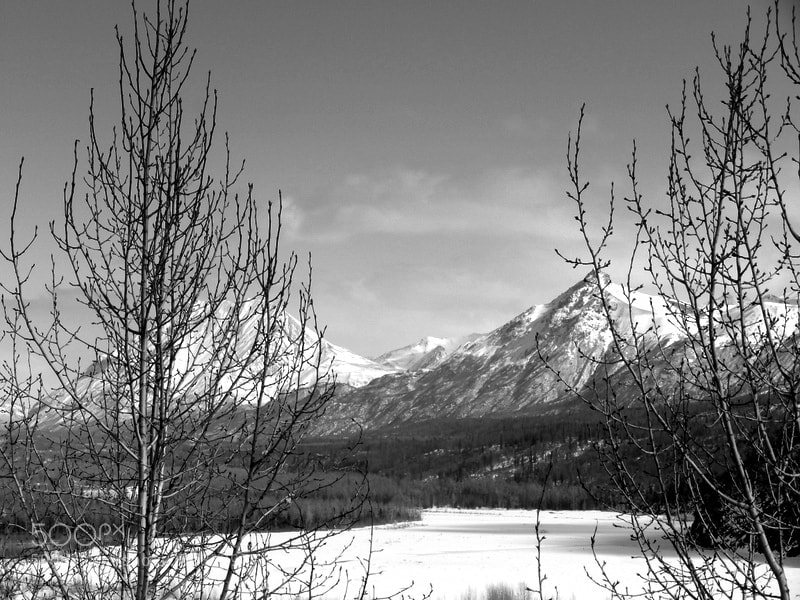 Nikon Coolpix L830 sample photo. Winters end photography