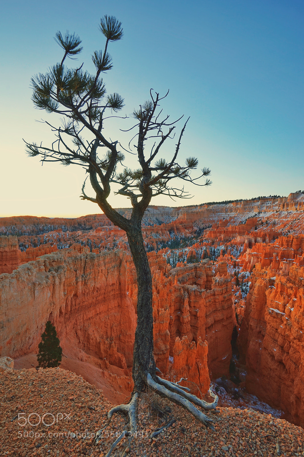 Sony a7 sample photo. Living on the edge photography