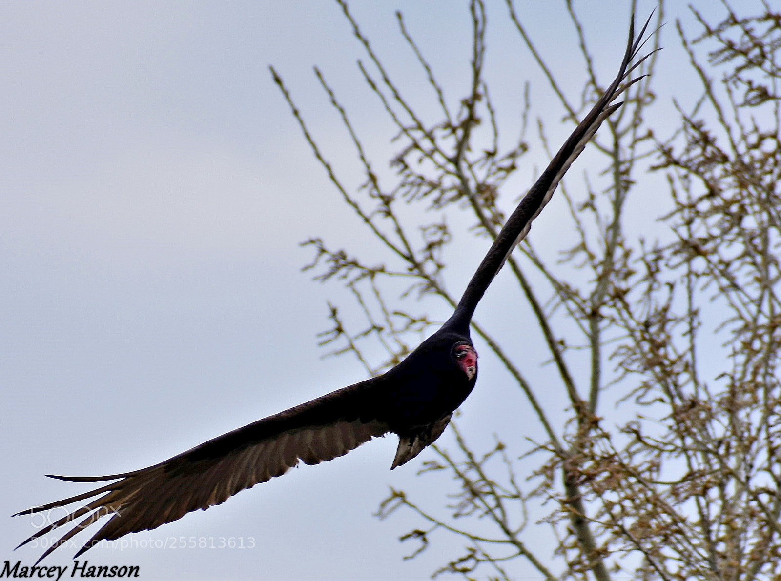 Nikon D3400 sample photo. () photography