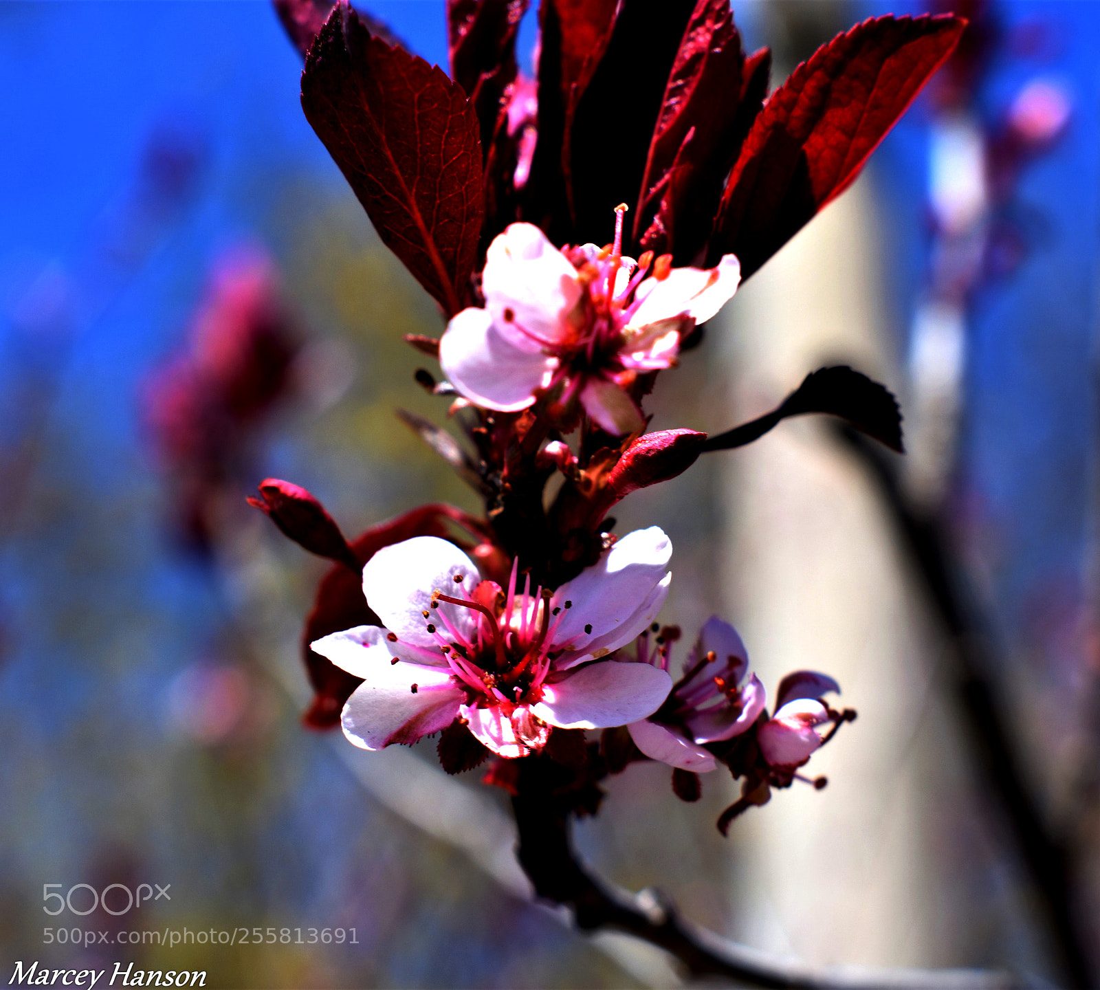 Nikon D3400 sample photo. () photography