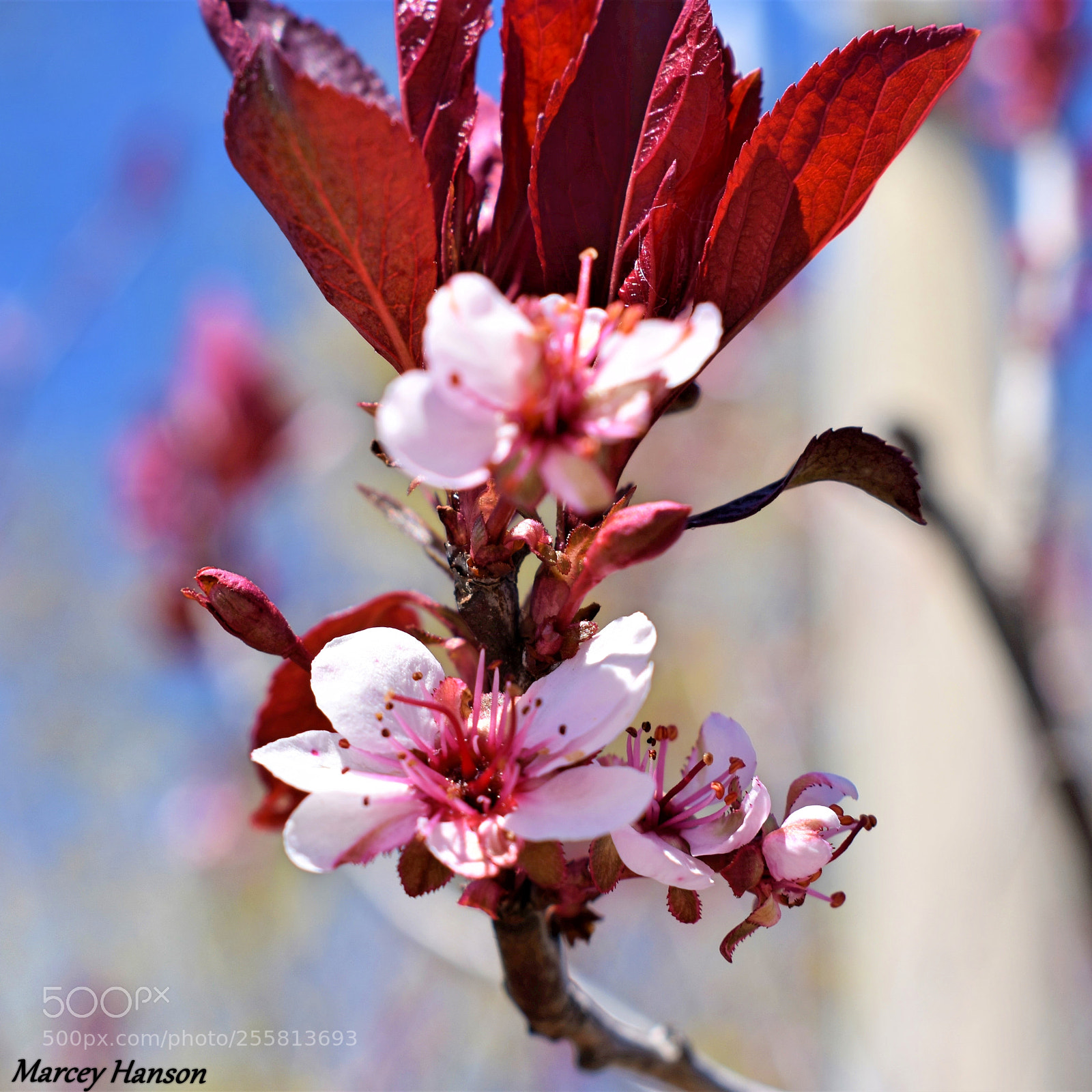 Nikon D3400 sample photo. () photography