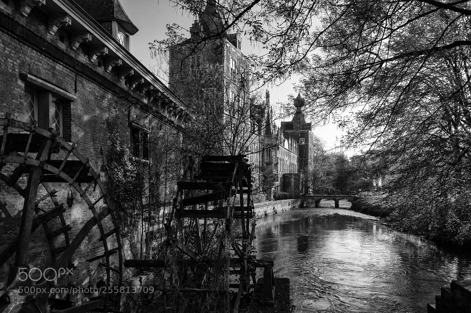 Sony Cyber-shot DSC-RX100 III sample photo. Arenberg photography