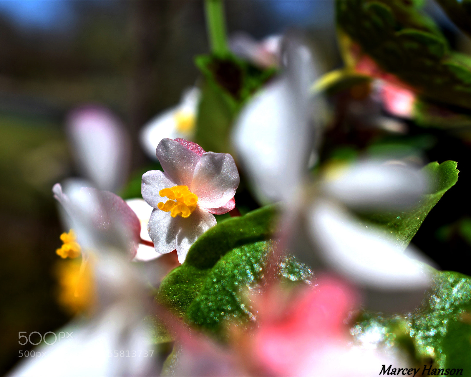 Nikon D3400 sample photo. () photography