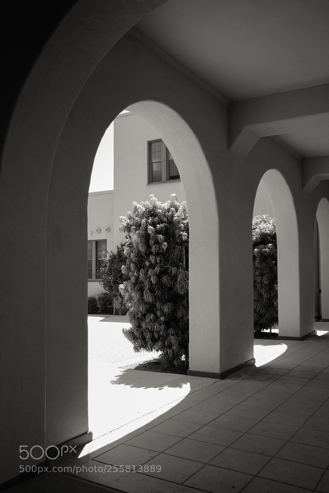 Fujifilm X-Pro2 sample photo. Untitled photography