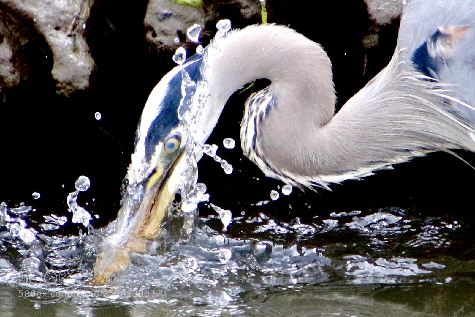 Canon EOS 700D (EOS Rebel T5i / EOS Kiss X7i) sample photo. Lunch time photography