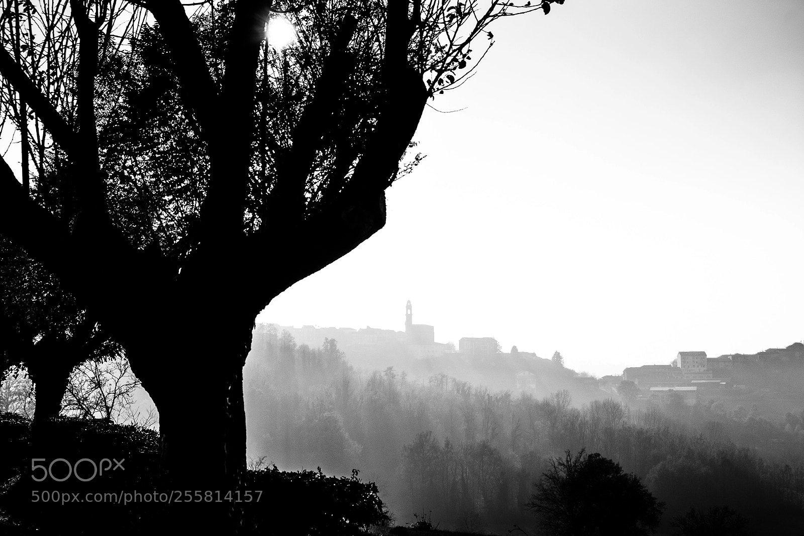 Fujifilm X-E2 sample photo. Sulle colline dell'astigiano photography