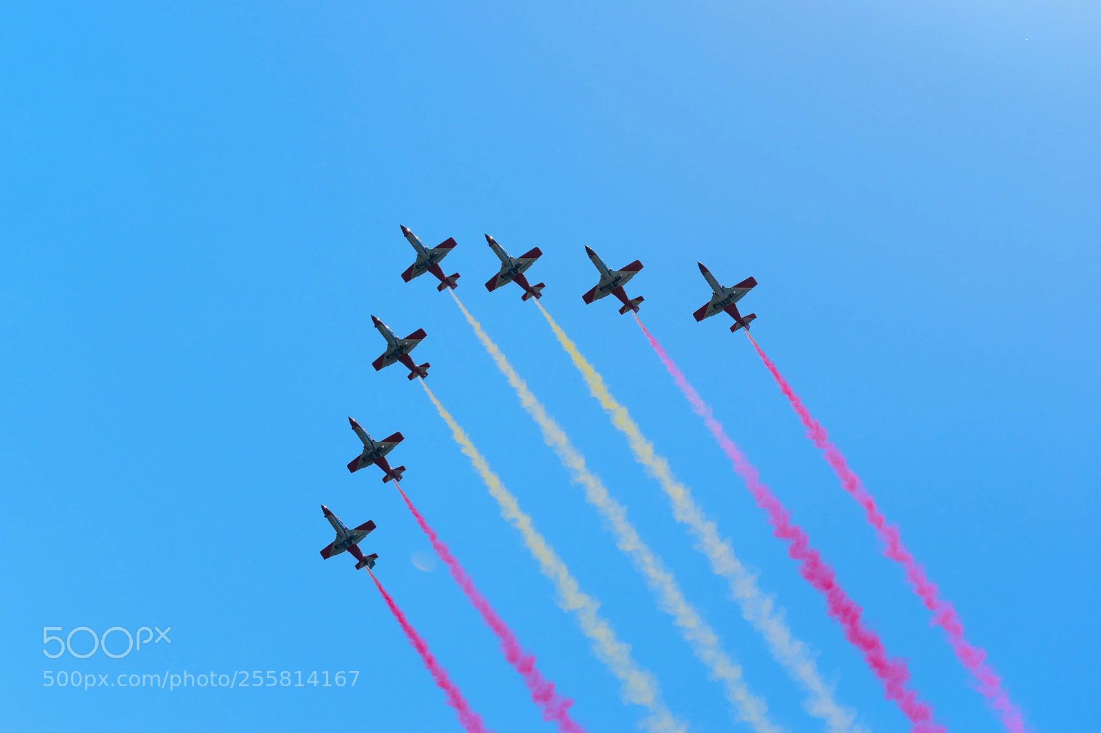 Nikon D5500 sample photo. Patrulla aguila at ila photography