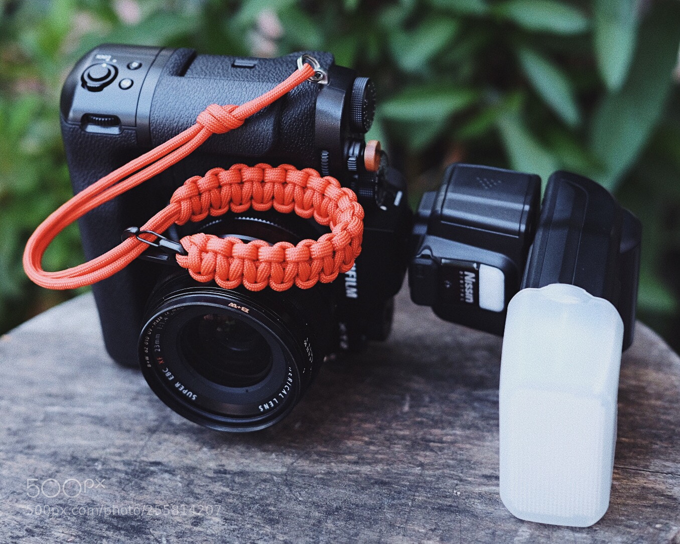 Fujifilm X-T10 sample photo. Untitled photography