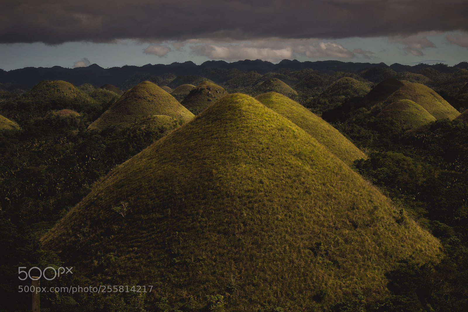 Canon EOS 600D (Rebel EOS T3i / EOS Kiss X5) sample photo. Chocolate hills photography