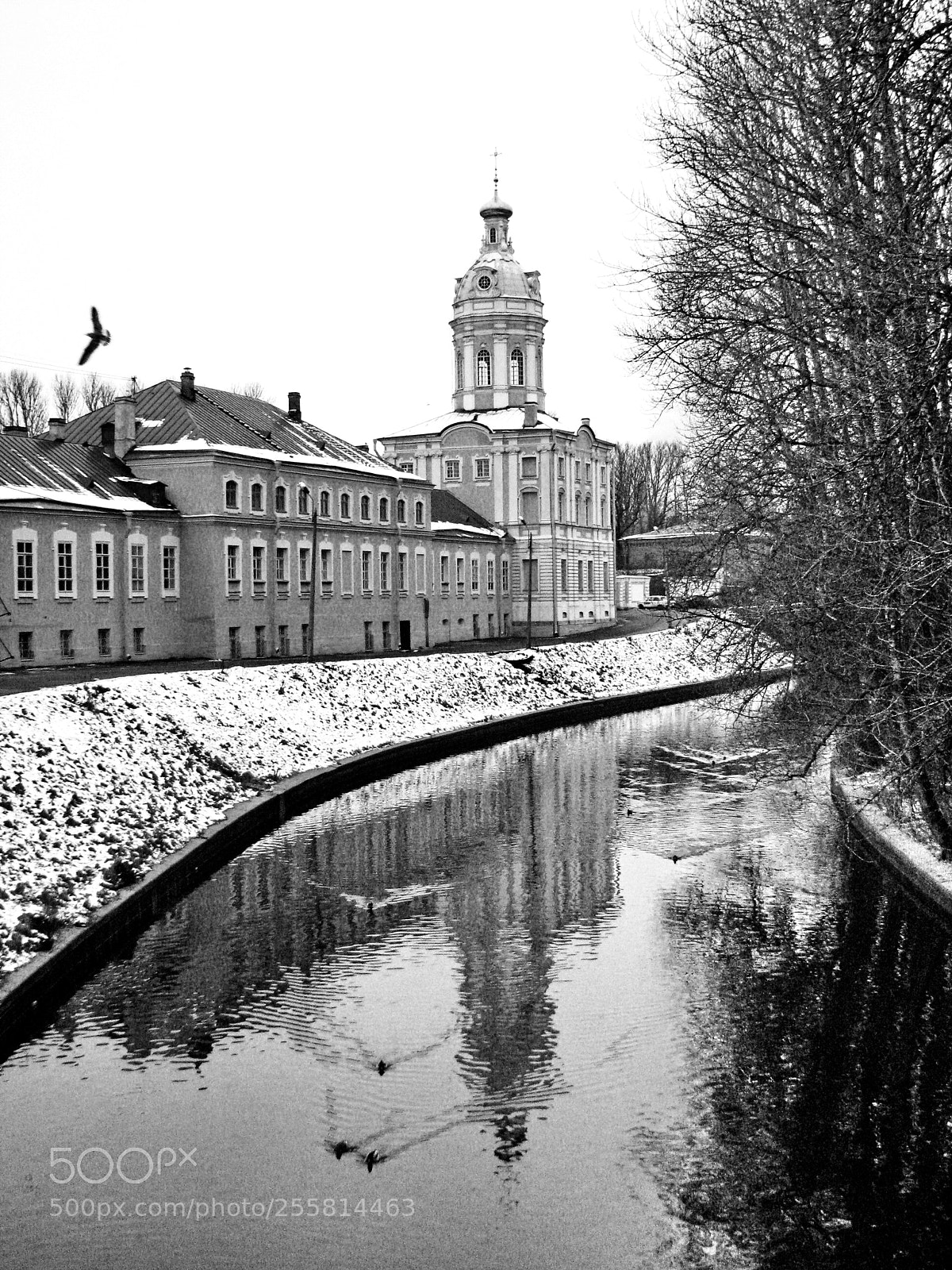 Canon POWERSHOT S5 IS sample photo. Alexander nevsky lavra photography