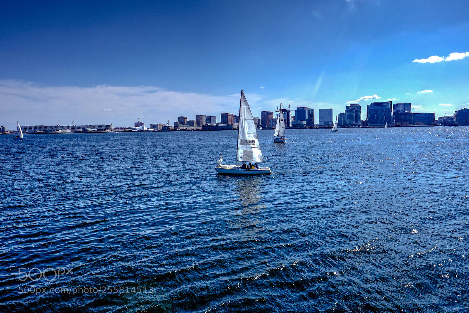 Fujifilm X-E1 sample photo. Sailing at the park photography