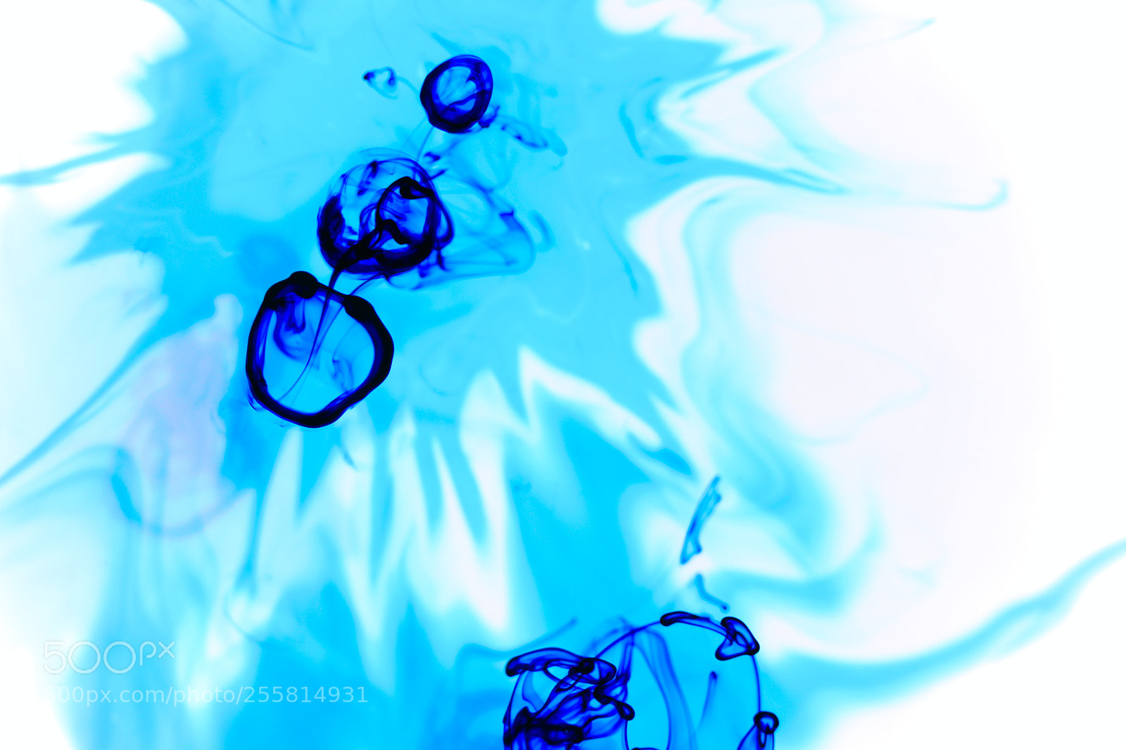 Canon EOS 80D sample photo. Blue swirls photography