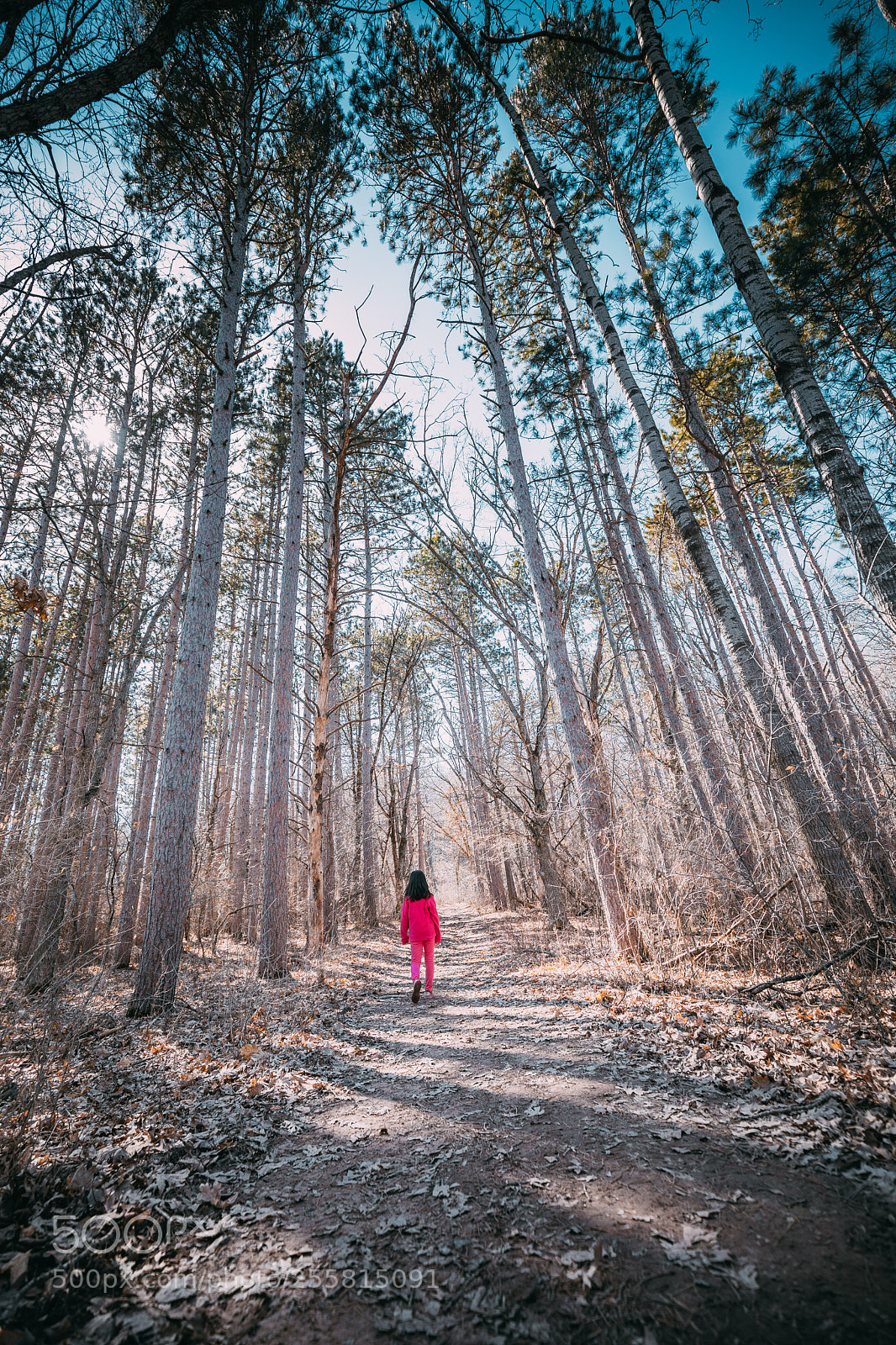 Canon EOS 5D Mark IV sample photo. Looking for spring photography