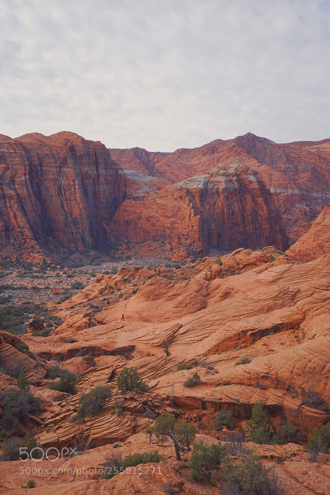 Sony a7 sample photo. Where’s waldo? photography