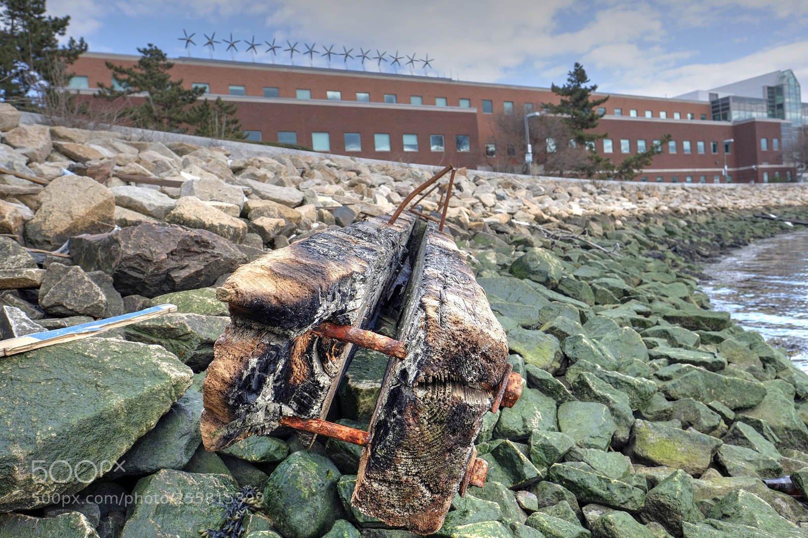 Fujifilm X-E1 sample photo. Driftwood photography