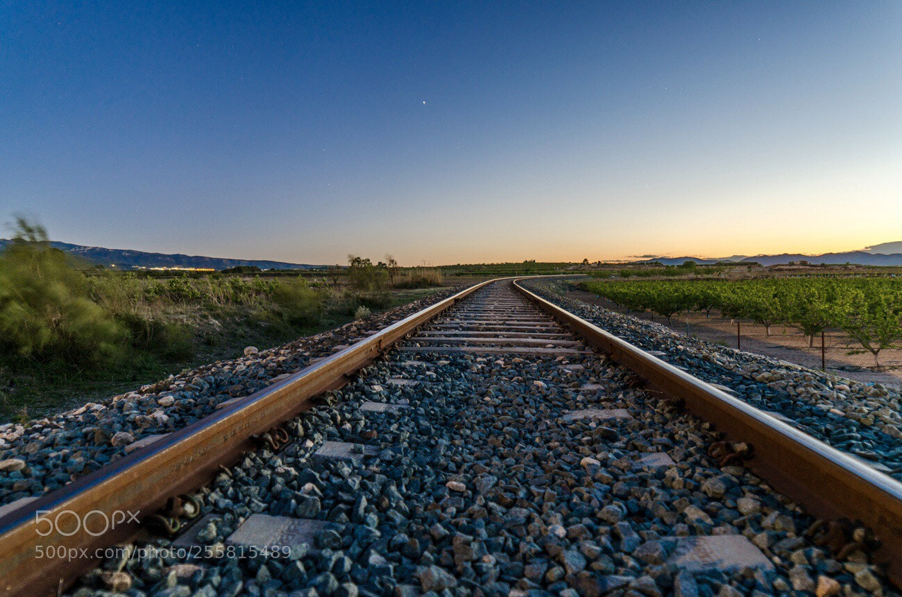 Nikon D7000 sample photo. Largo camino photography