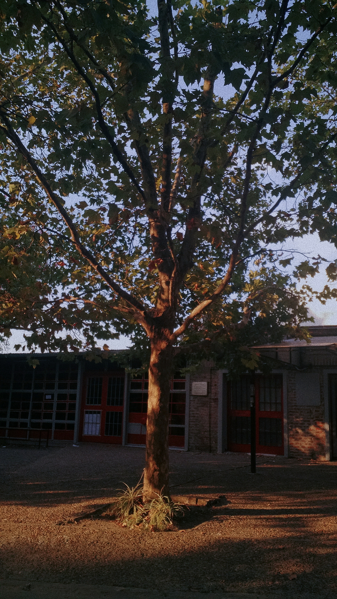 Motorola Moto X (2nd Gen) sample photo. Atardecer photography