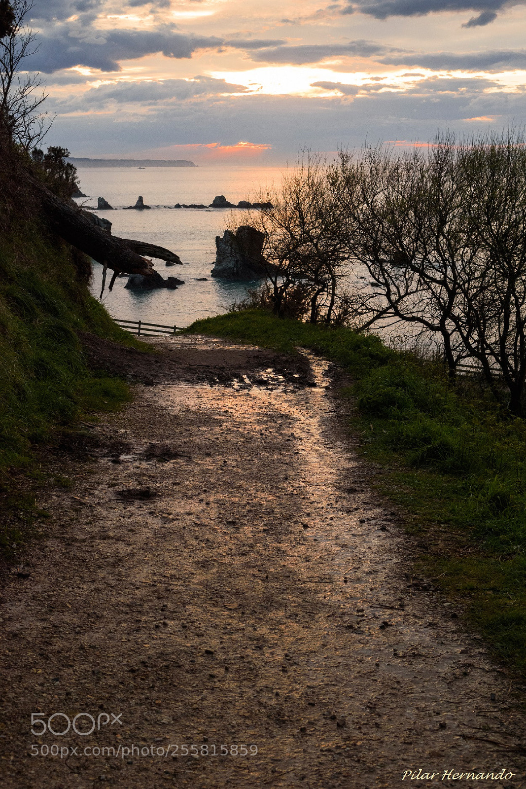 Nikon D5500 sample photo. Sunset falling on silencio photography
