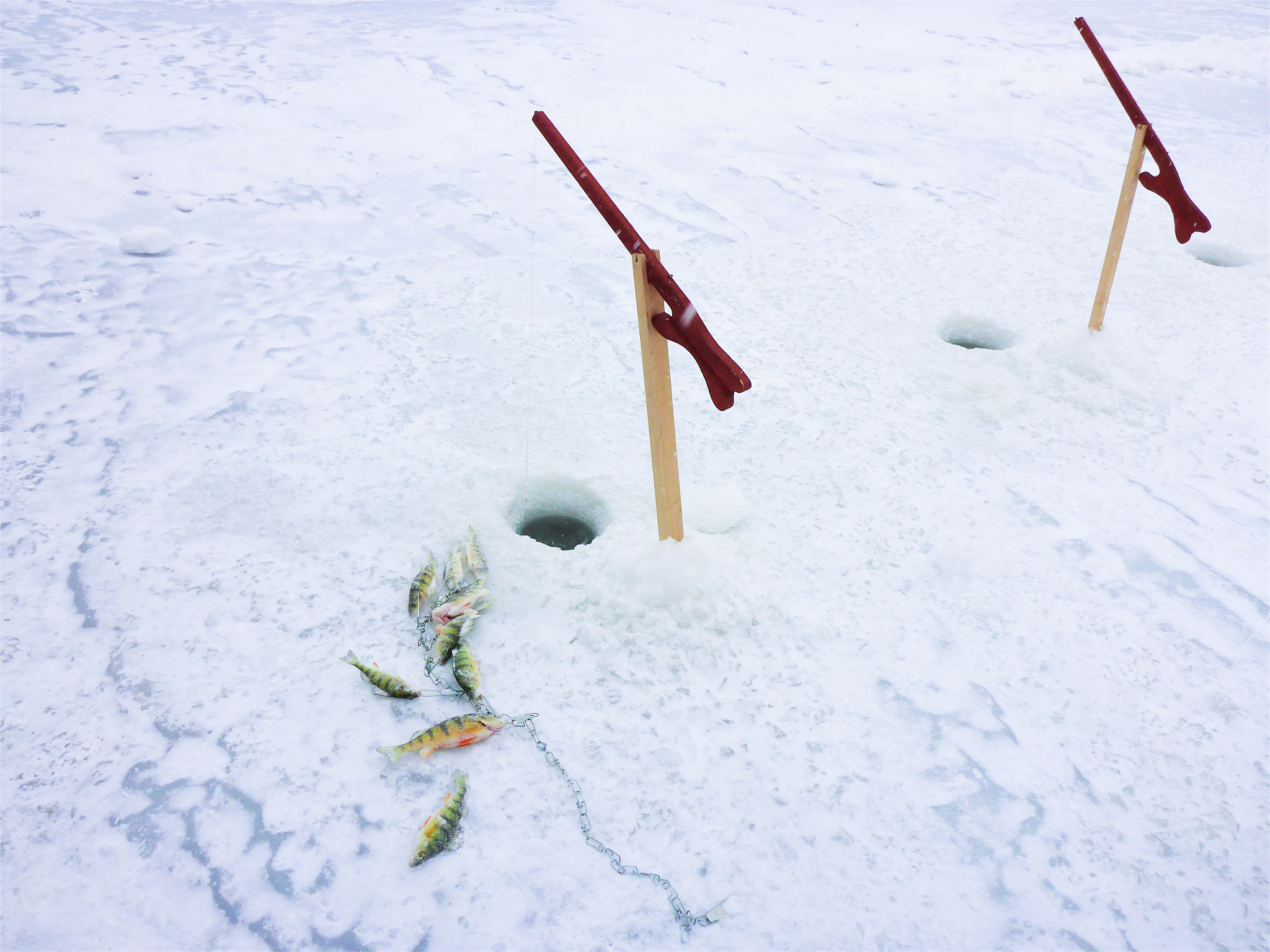 Panasonic Lumix DMC-TS5 (Lumix DMC-FT5) sample photo. Ice-fishing competition photography