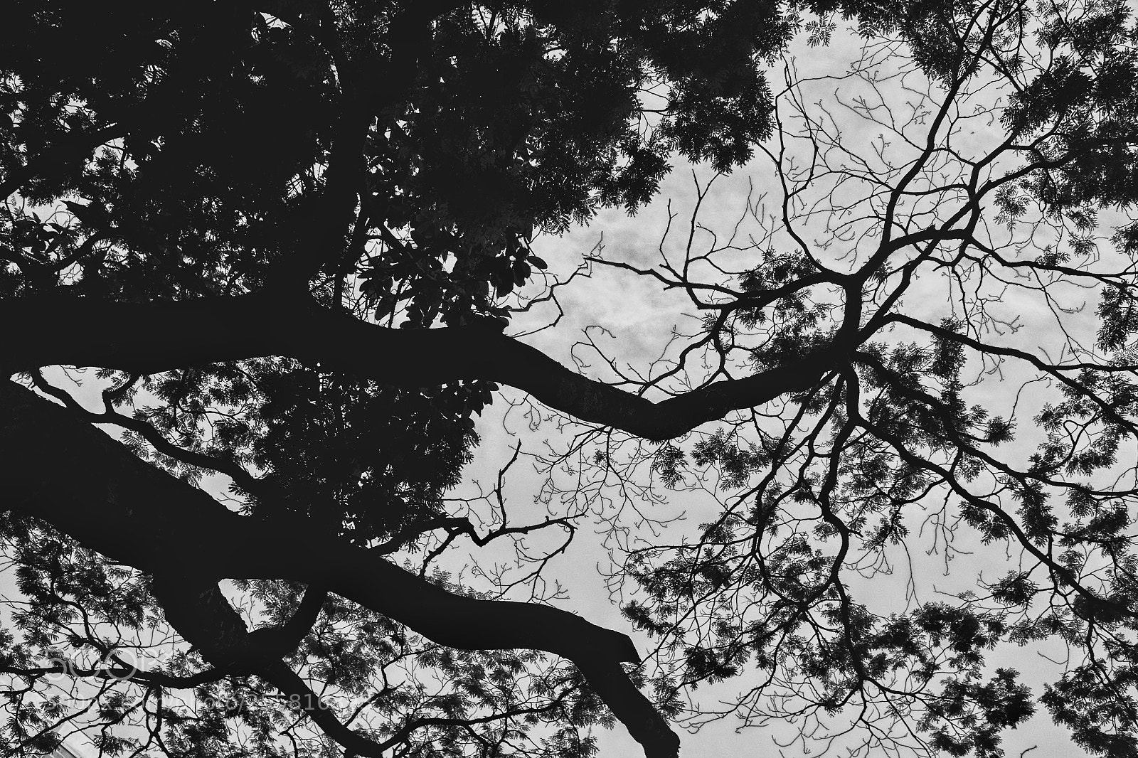 Canon EOS 700D (EOS Rebel T5i / EOS Kiss X7i) sample photo. Untitled photography