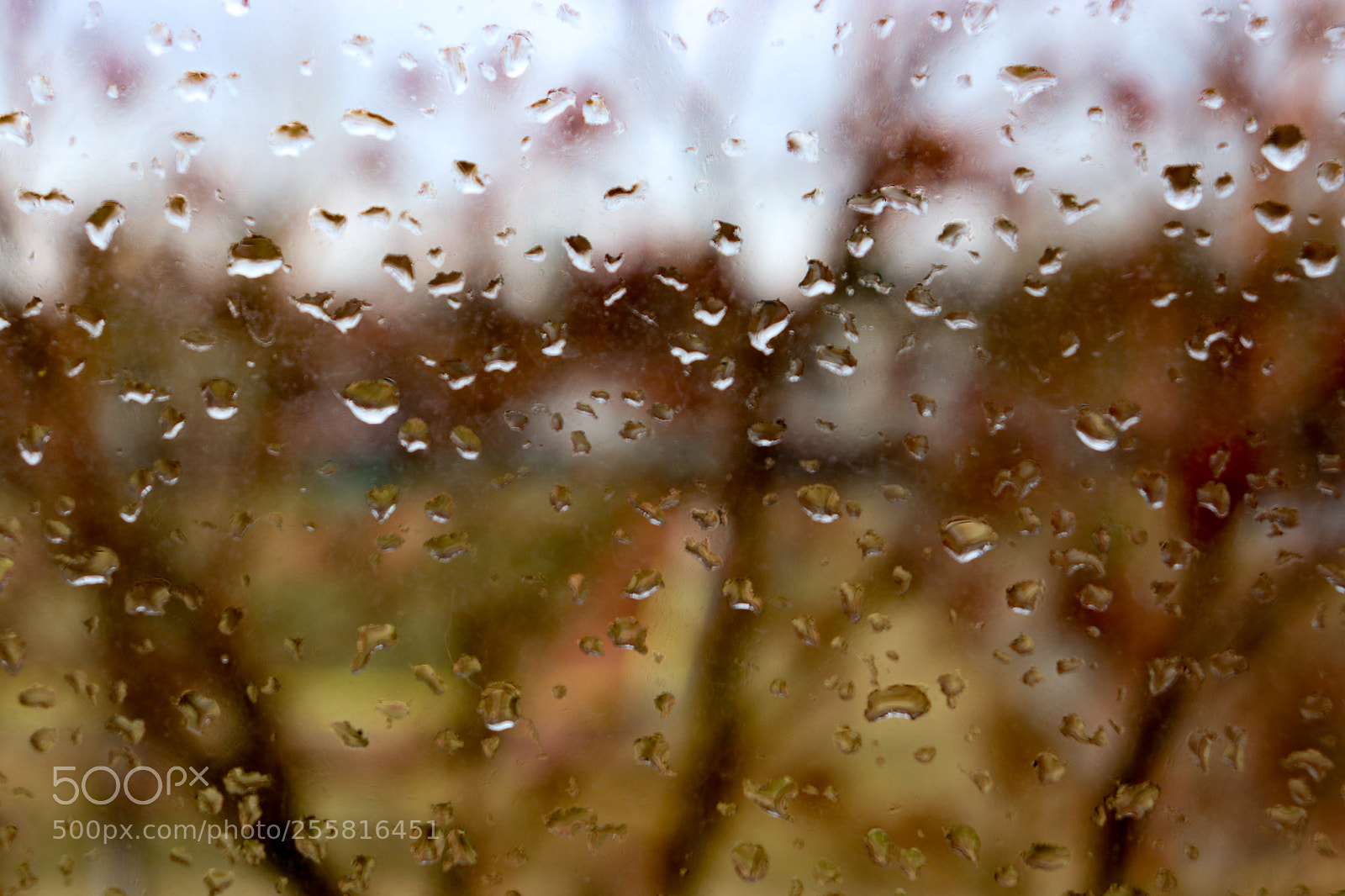 Canon EOS 800D (EOS Rebel T7i / EOS Kiss X9i) sample photo. Rain on my window photography