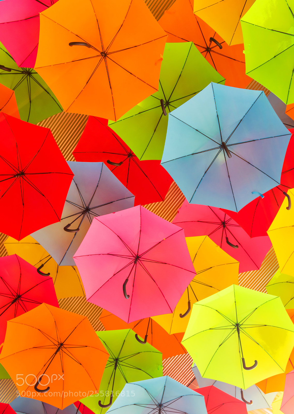 Canon EOS 7D Mark II sample photo. Colourful umbrellas photography