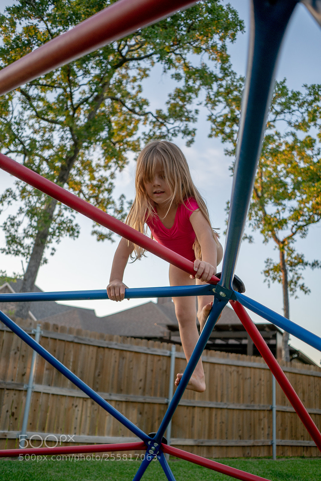 Sony a7R II sample photo. Untitled photography