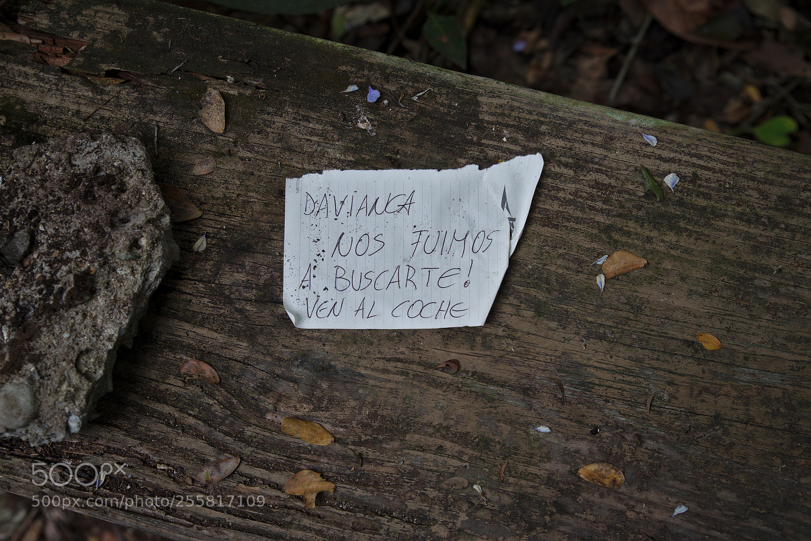 Pentax K-1 sample photo. The message photography
