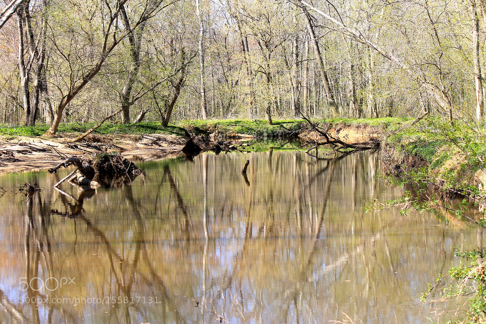 Canon EOS 1100D (EOS Rebel T3 / EOS Kiss X50) sample photo. Peaceful scenary photography