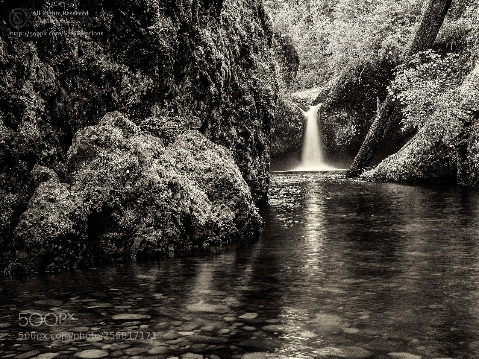 Olympus OM-D E-M1 sample photo. Punchbowl falls 3 photography