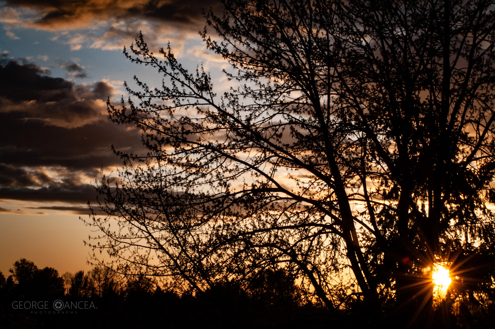 Pentax K-7 sample photo. (another) sunset from my balcony photography