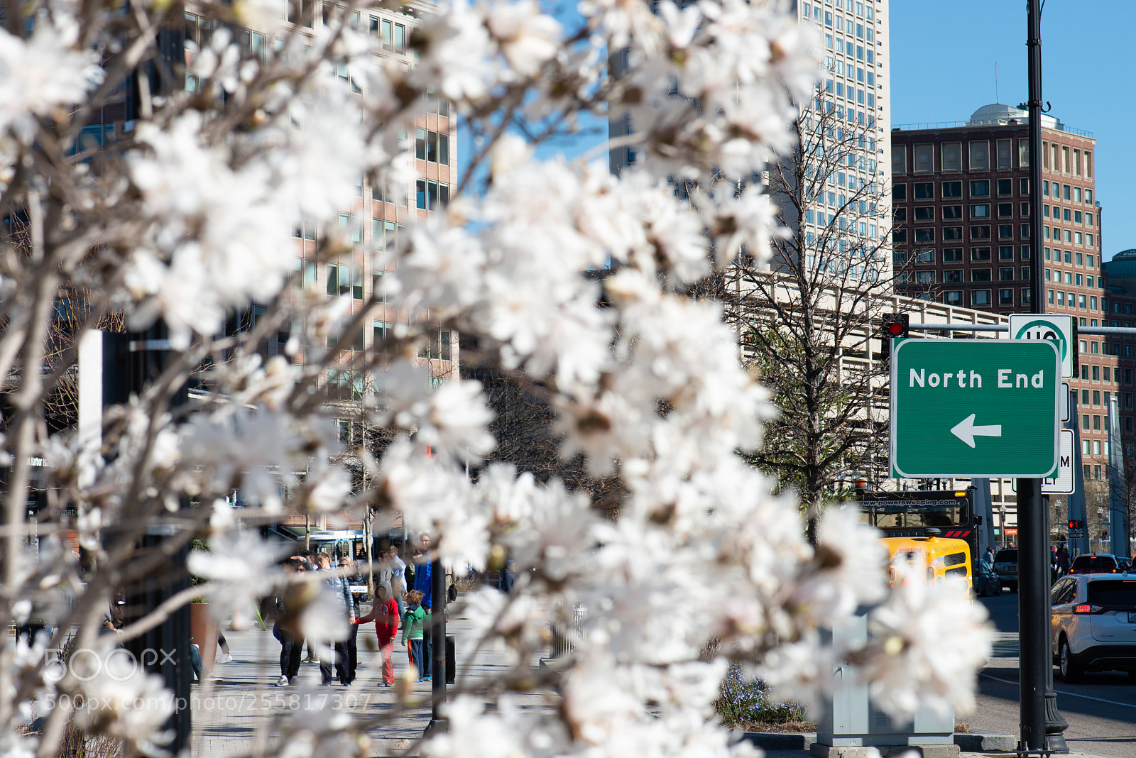 Nikon D800 sample photo. North end this way photography