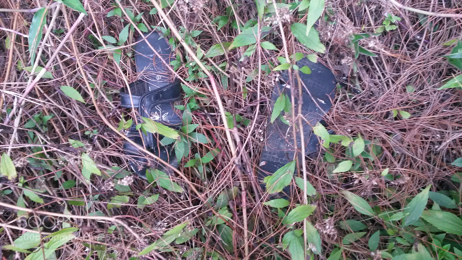 Samsung Galaxy S4 Mini sample photo. Slippers found by the photography