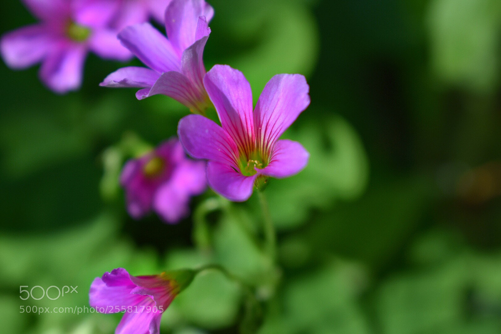 Nikon D3400 sample photo. Untitled photography