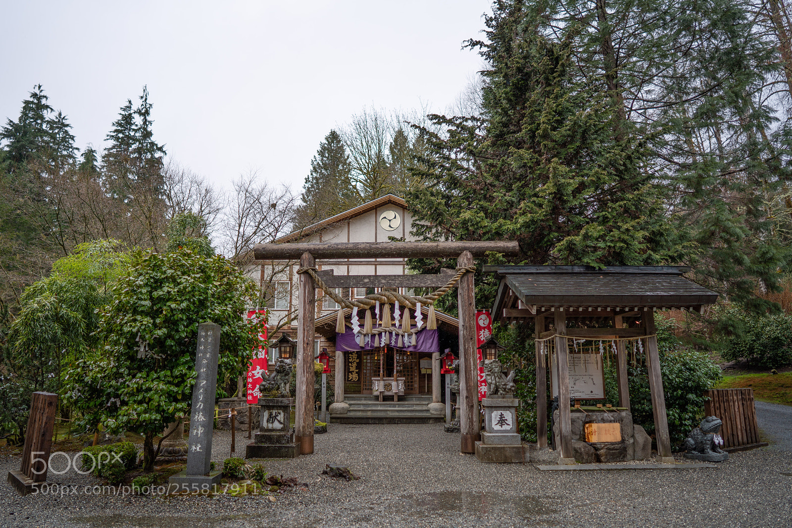 Sony a7R III sample photo. Tsubaki okami yashiro in photography